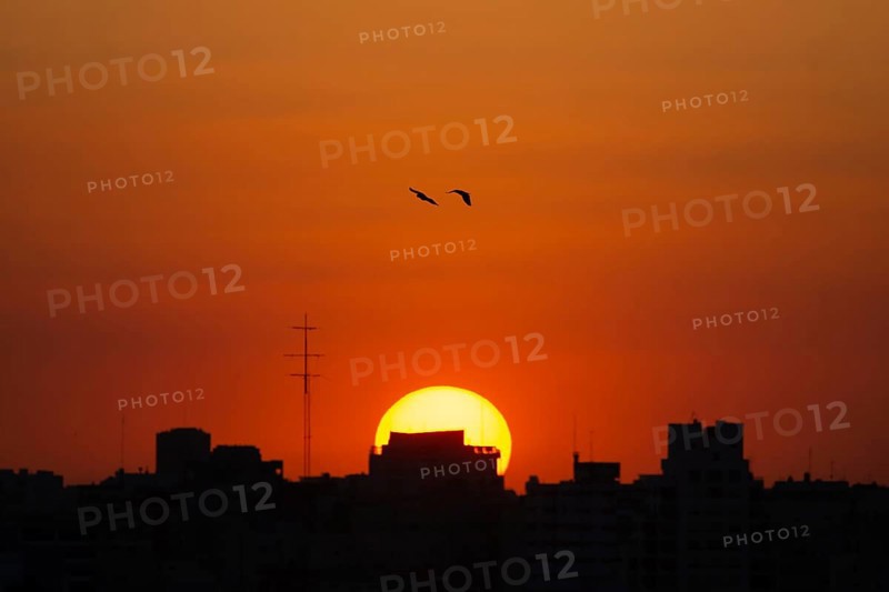 Birds fly towards sunset over the rooftops of Buenos Aires, Argentina, South America