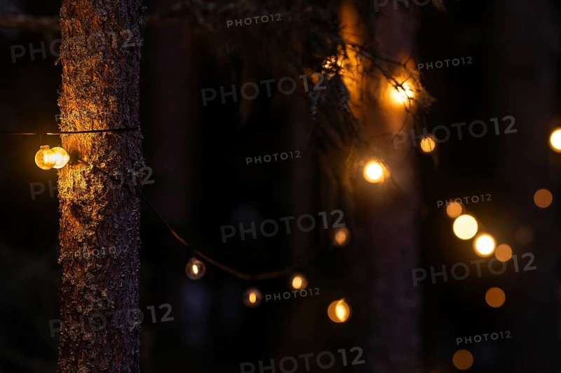 Fairy lights on pine trunks emit warm, soft light and illuminate the dark forest, Bokeh, Finland
