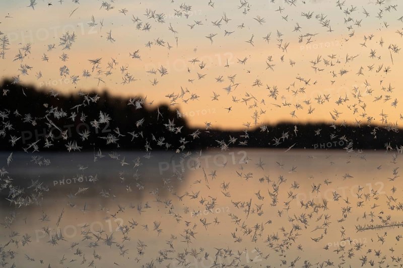 Small ice flowers on a window with lake and forest in the background at sunrise, Finland