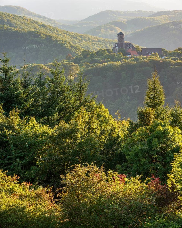 View of Ludwigstein Castle in the evening light, landscape with hills and forest in the Werra Hills near Witzenhausen, Hesse, Germany