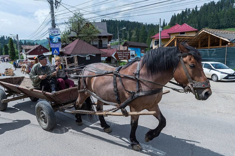 Horse cart on the road, Vorone?, Romania