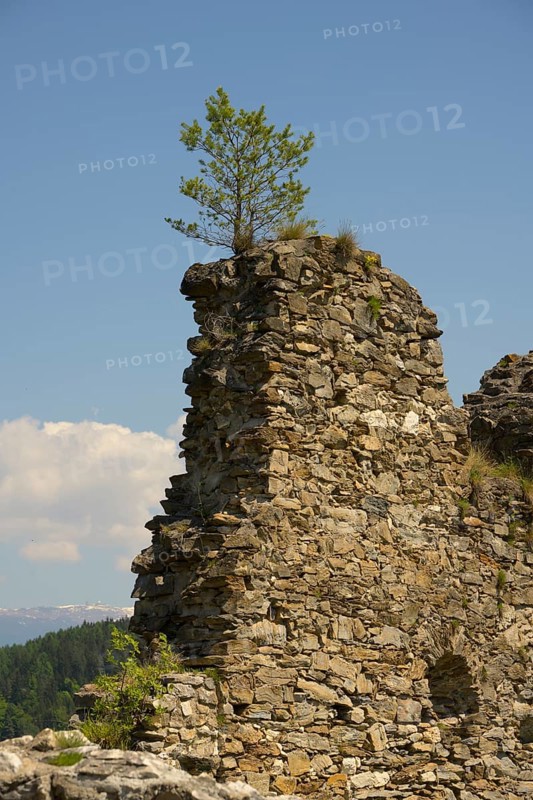Griffen Castle Ruins, Schlossberg, Griffen, Carinthia