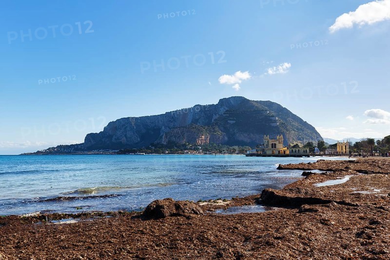 Mondello Bay, coastline, seaweed carpet, washed up seagrass, seaweed, Sargassum brown seaweed, Monte Pellegrino, Mondello seaside resort, Palermo, Sicily, north coast, Tyrrhenian Sea, Italy