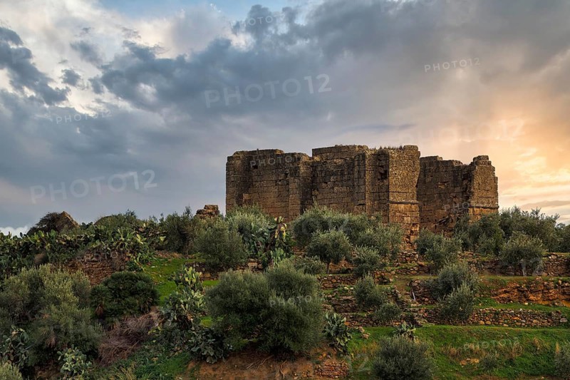 Massive stone walls, ruins and Mediterranean vegetation on a hill, sunset, Chiesa di Santa Maria di Campogrosso, Chiesazza, Altavilla Milicia, Palermo, Sicily, Italy