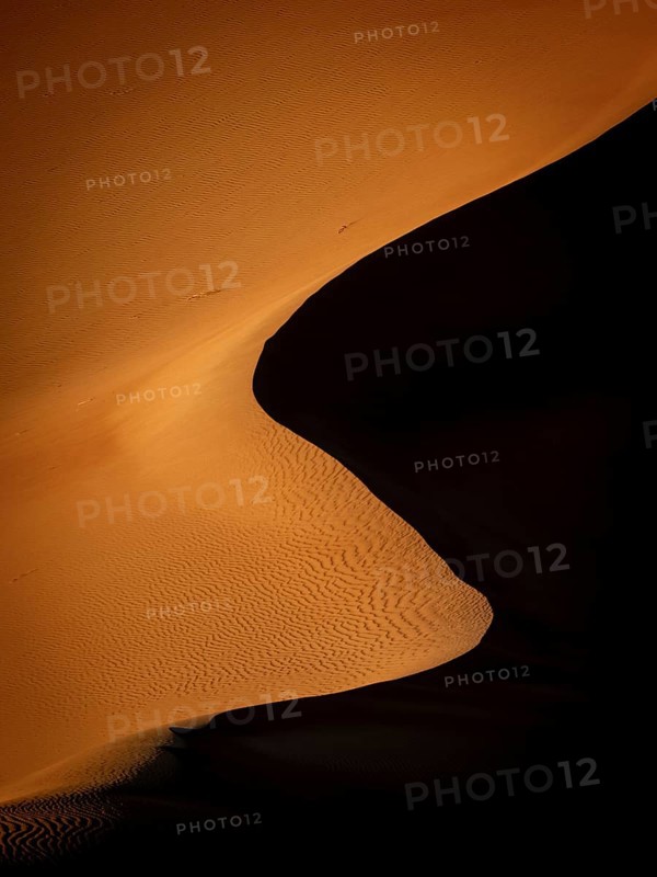 Sand dunes in the Rhub al Khali desert, detailed view, empty quarter, largest sandy desert in the world, Oman