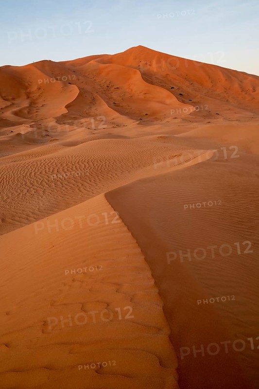 Sand dunes in the Rhub al Khali desert, empty quarter, largest sandy desert in the world, Oman