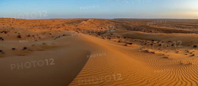 Sand dunes in the Wahiba Sands desert, Oman