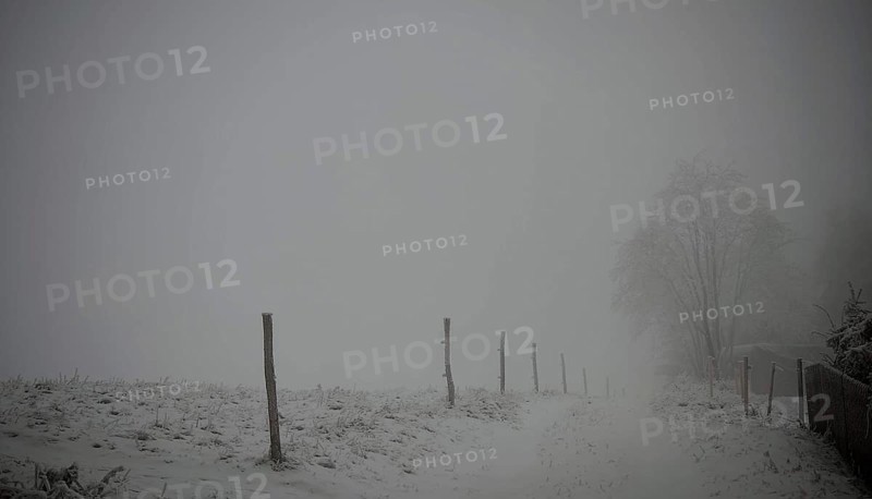 Foggy, snowy landscape with fences and dark sky, Rennsteig, Thuringian Forest