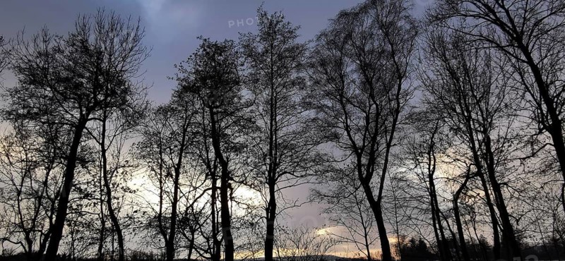 Silhouettes of trees against a gloomy evening sky in winter, Franconian Forest