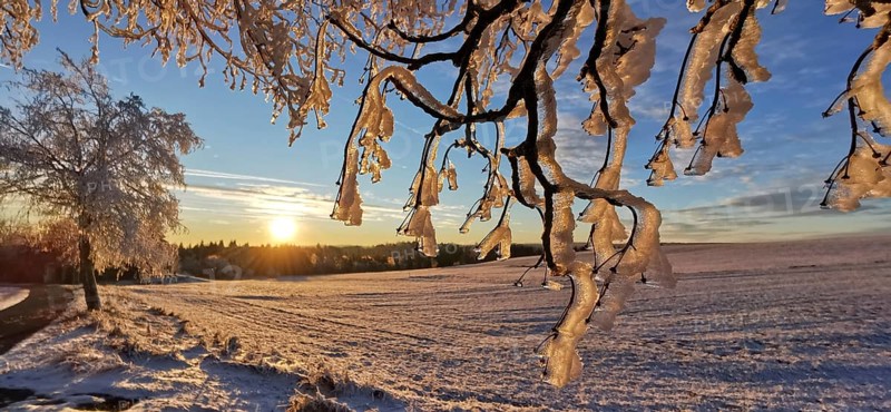Branched branches covered in ice in front of a clear, sunny winter morning, Franconian Forest