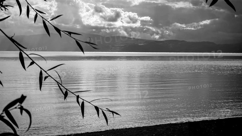 Black and white photo of a quiet lake with branches in the foreground and clouds above, Lake Ohrid, North Macedonia