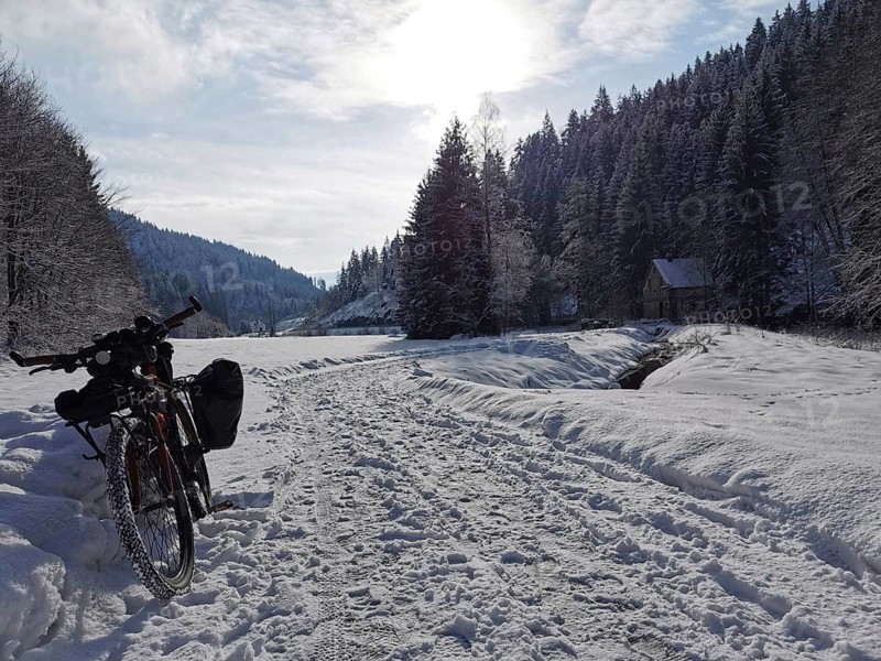 Snowy landscape with bike and hut surrounded by forest under the winter sun