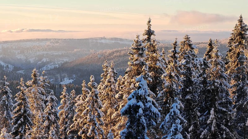 Snowy trees in front of a hill at sunset with wide sky, Rennsteig, Thuringian Forest