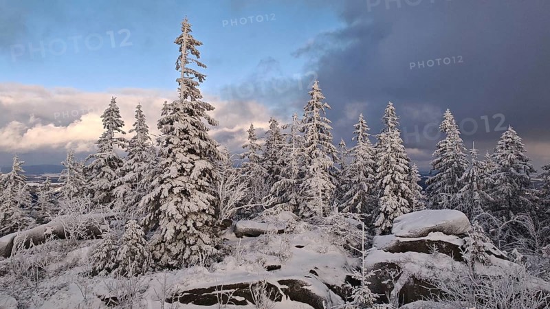 Snowy landscape with trees under a sky divided between blue and clouds, Fichtelgebirge, Bavaria