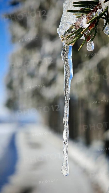 Close-up of a long icicle against a blurred background, Fichtelgebirge, Bavaria