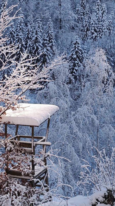 Snowy high chair in the forest with winter surroundings, Fichtelgebirge, Bavaria