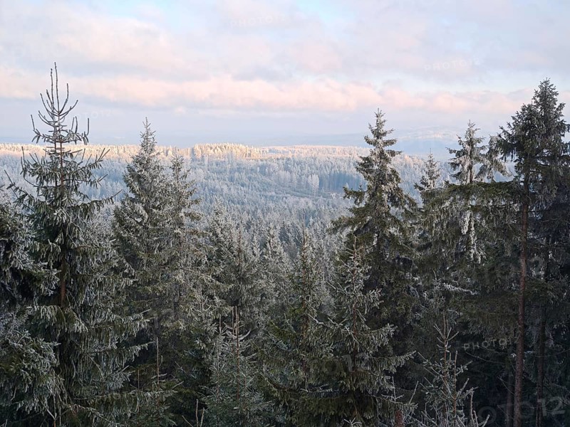 Snowy tree tops with a wide view over the forest, Fichtelgebirge, Bavaria