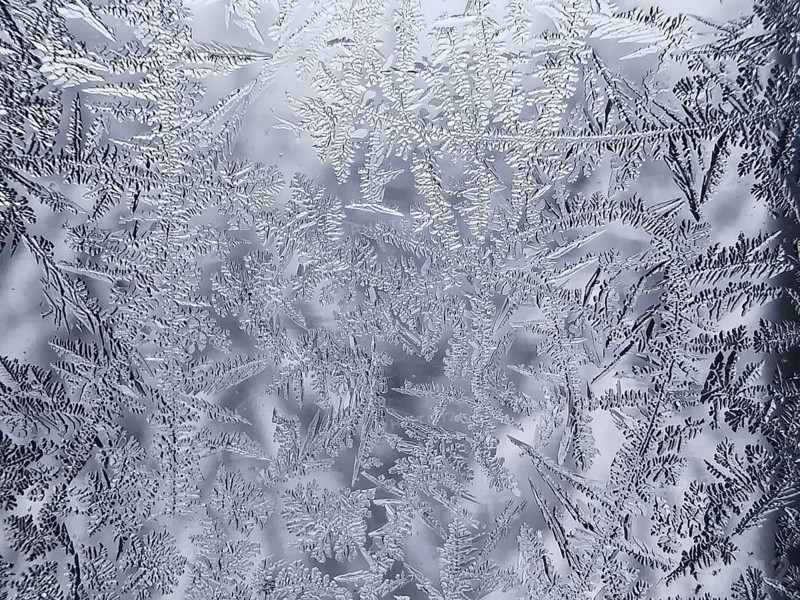 Ice flowers on a glass surface create a frosty and detailed pattern