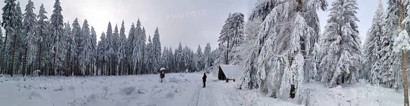 Snowy forest with hut and two people under cloudy sky, Rennsteig, Thuringian Forest