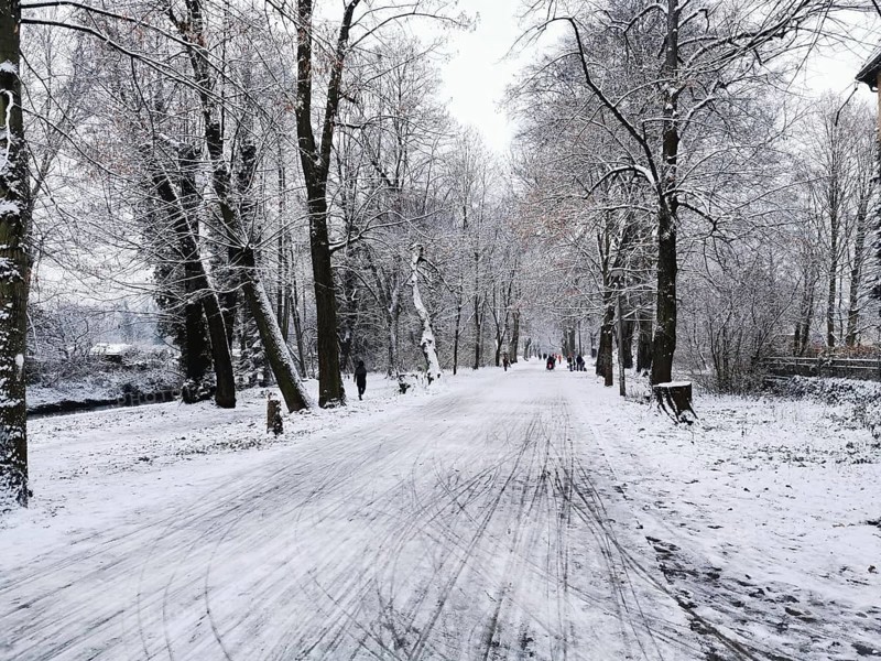Snowy avenue with bare trees and a quiet, untouched winter trail, Berlin