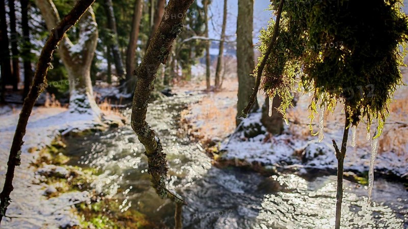 A small stream in the forest, branches covered with frost and moss in the foreground, Frankenwald, Rennsteig