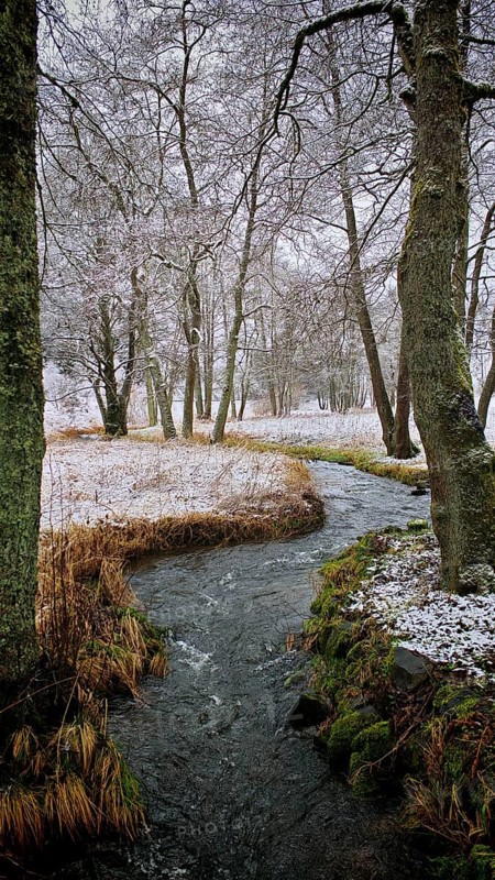 Small stream in light snowfall, surrounded by bare trees, mystical, romantic, Frankenwald nature park Park