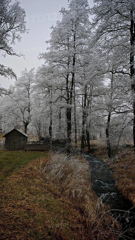 A small hut stands in a wintry landscape with snow-covered trees and a river, mystical, romantic, Rennsteig, Frankenwald