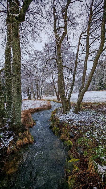 A stream snakes through a snow-covered forest landscape with bare trees, mystical, romantic, Franconian Forest nature park Park