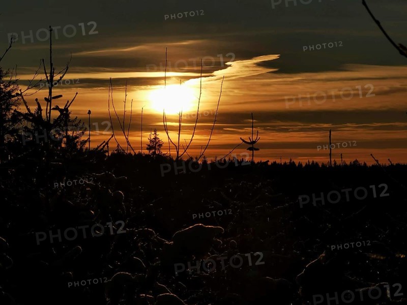 Sunset over a wooded area with golden sky