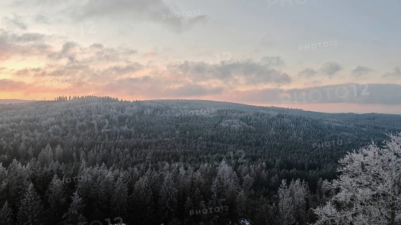Snowy forest landscape under a twilight sky at dusk