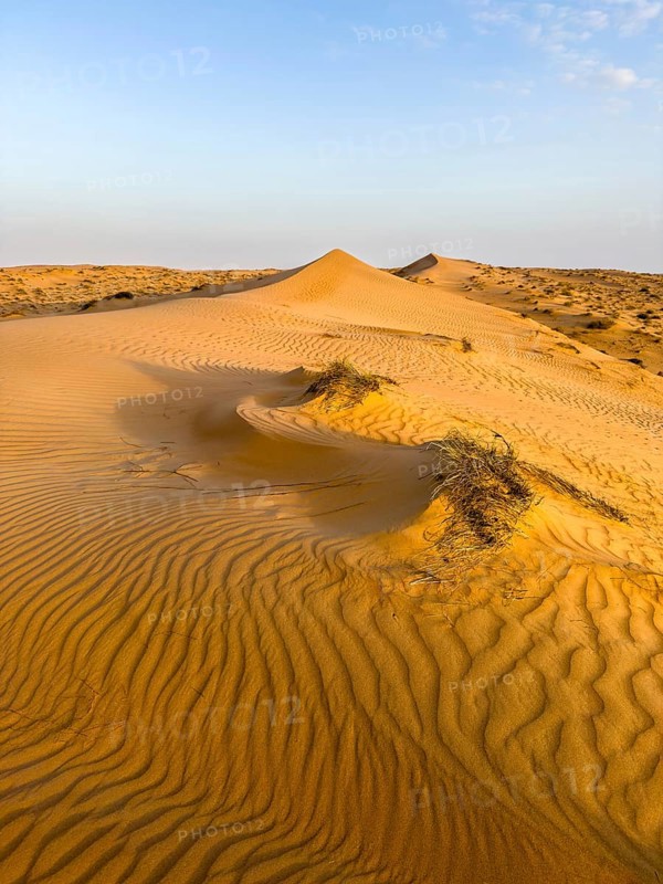 Sand dunes in the Wahiba Sands desert, Oman