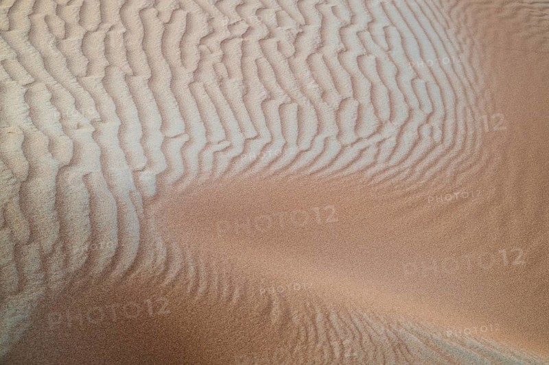 Structures in the sand, sand dunes in the Wahiba Sands desert, Oman