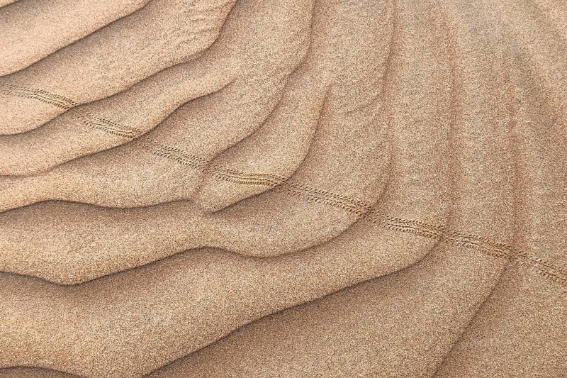 Traces in the sand, desert, Oman