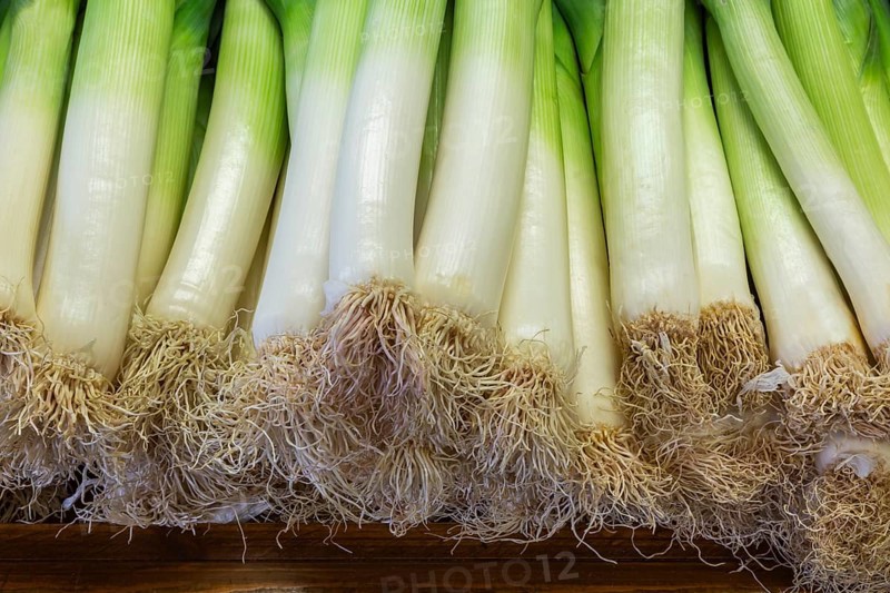 Close-up of freshly harvested Allium porrum - Leeks for sale at farm stand in autumn, Quebec, Canada