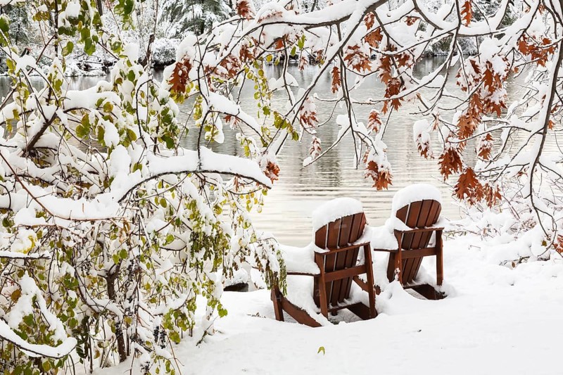 Two brown stained wooden Adirondack chairs by riverside framed by Salix - Willow and Quercus - Oak tree branches covered with winter like snow in late autumn, Ile des Moulins, Old Terrebonne, Quebec, Canada