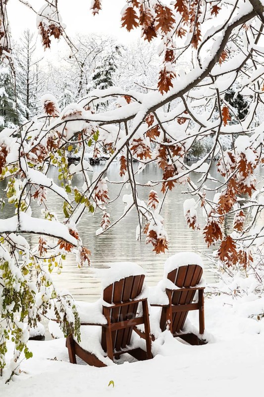 Two brown stained wooden Adirondack chairs by riverside framed by Salix - Willow and Quercus - Oak tree branches covered with winter like snow in late autumn, Ile des Moulins, Old Terrebonne, Quebec, Canada