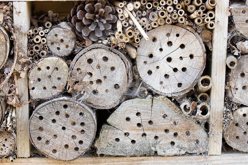 Bee or bug hotel or insect house on a brick wall in a garden, England, United Kingdom