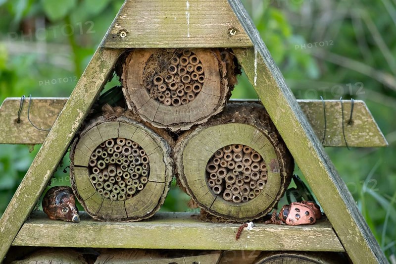 Bee or bug hotel or insect house in a garden, England, United Kingdom