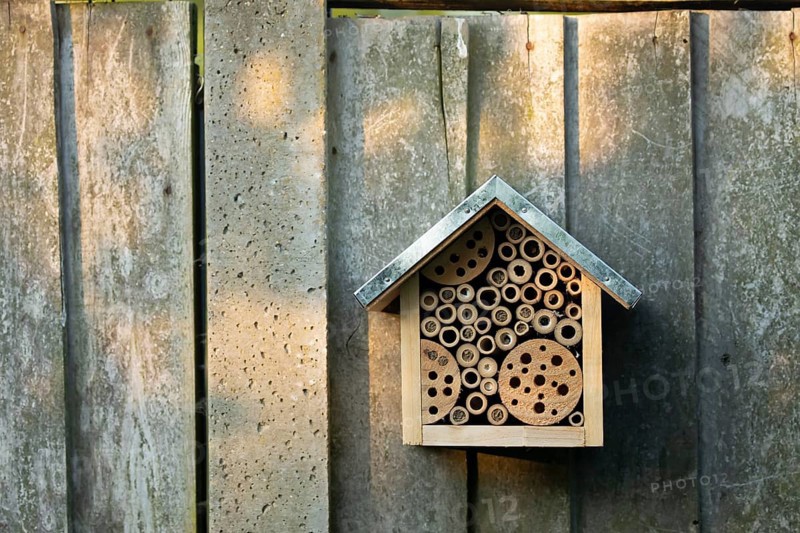 Bee or bug hotel or insect house on a wooden fence in a garden, England, United Kingdom