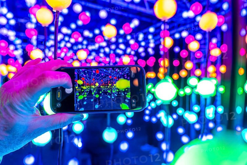 Park lights, winter event, in the Grugapark in Essen, many different light installations, across the park, attract many thousands of visitors, light work of art consisting of many hundreds of hanging ball lamps, LEDs, with changing colors, accessible, North Rhine-Westphalia, Germany