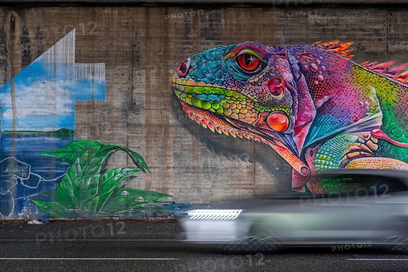Colourful graffiti, mural, iguana or lizard in rainbow colors, in a motorway bridge underpass of the A52, in the Breitscheid junction, B227, Kölner Straße, in Ratingen-Breitscheid, artist Brosart Design, North Rhine-Westphalia, Germany