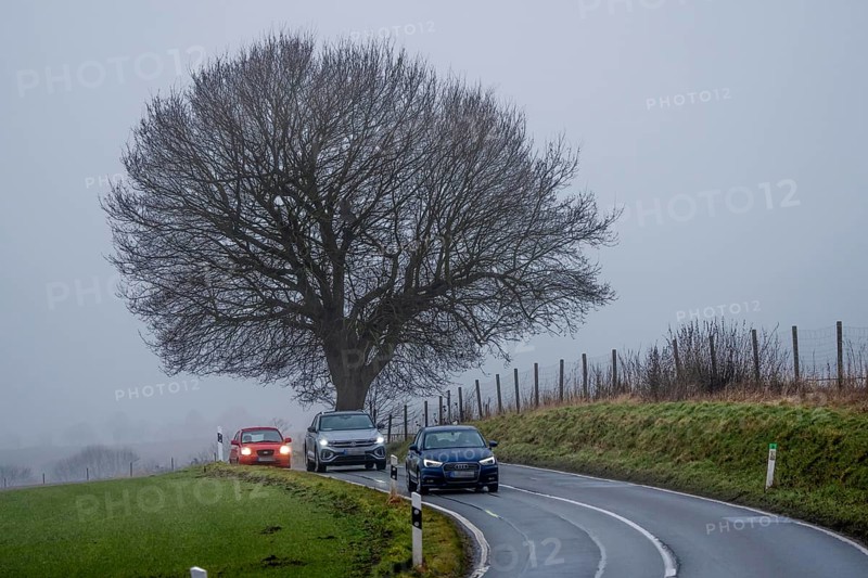 Thick fog, with low visibility, country road, Schuirweg, bare trees, winter, in Essen, North Rhine-Westphalia, Germany