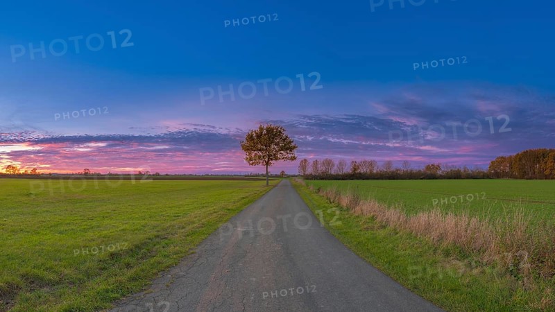 View along a bike path near the Weser at sunset, Mahlen, Hassel, Nienburg, Lower Saxony, Germany
