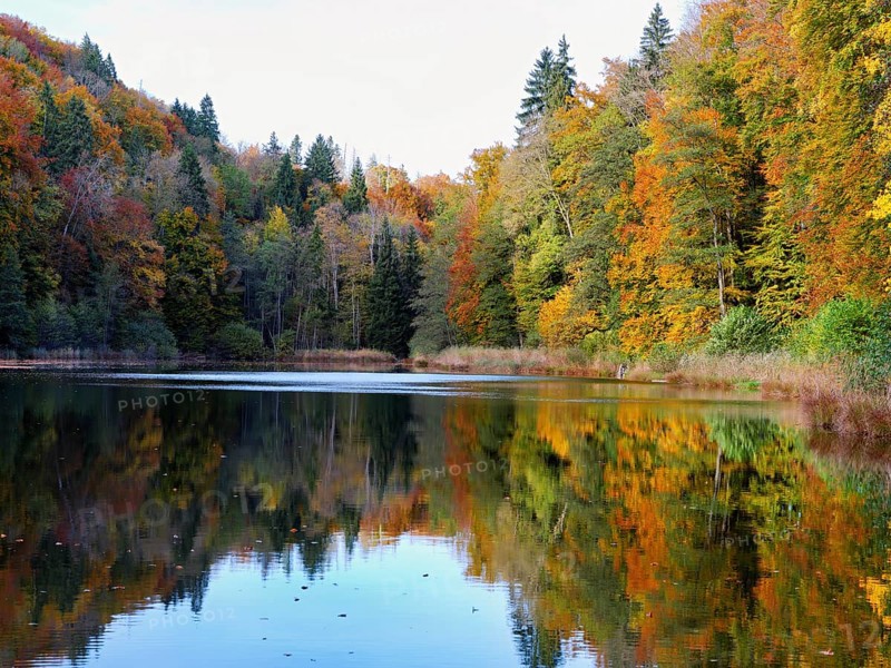 Egelsee in autumn-colored surroundings, Bergdietikon, Canton of Aargau, Switzerland