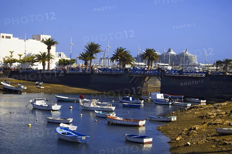 Small boats swim in a sunny harbor lined with palm trees, Arrecife Lanzarote