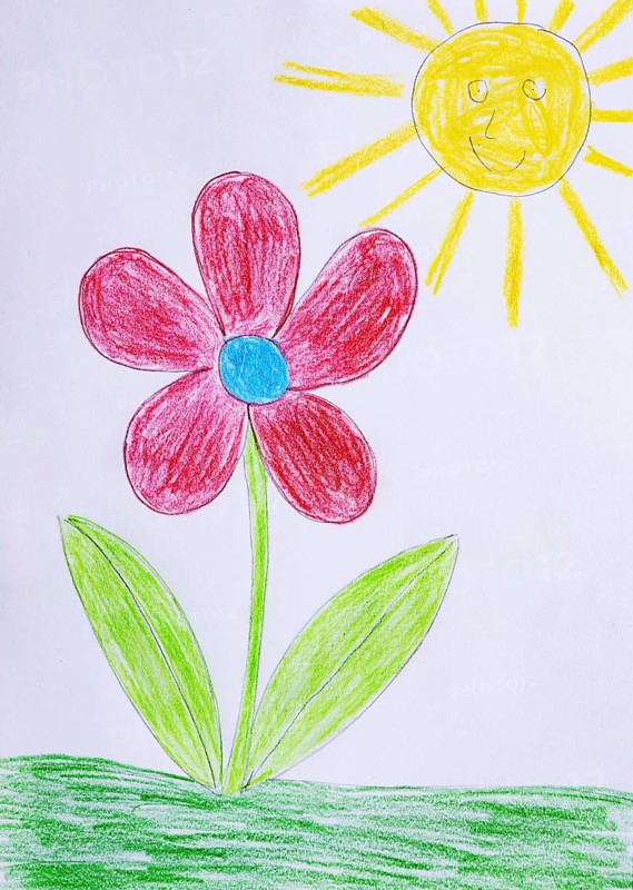 Naive illustration, children's drawing, flower in the meadow with sun, Austria