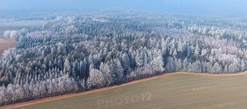 Winter forest aerial view of a mixed forest with spruces, pines, birches and beech trees covered with hoarfrost in winter sun surrounded by meadows and fields, drone photography, Baden-Württemberg, Germany