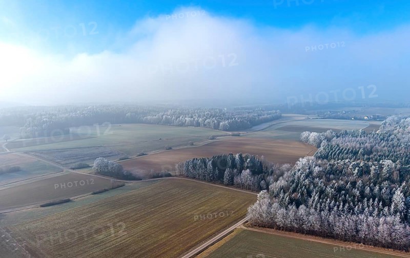 Aerial view of a winter landscape covered in clouds of fog, fields and a mixed forest with trees colored white by frost covered with hoarfrost in winter sun under a blue sky, drone photography, Baden-Württemberg, Germany