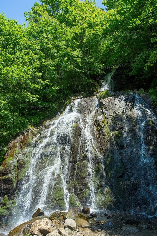 Impressive waterfall surrounded by lush forest, Delpak Waterfall, Chveletana, Mingrelia region and Upper Svaneti, Georgia