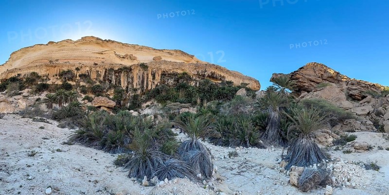 Limestone gorge of Wadi Shuwaymiyah, Dhofar, Oman